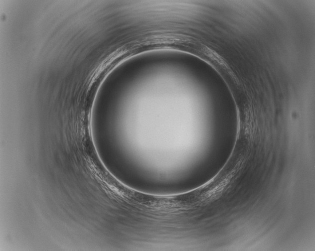 X0000057080786200509091247