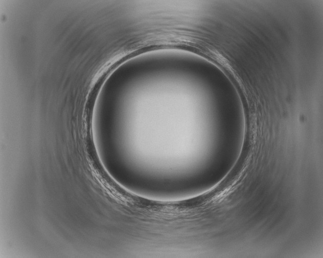 X0000057080787200509091247