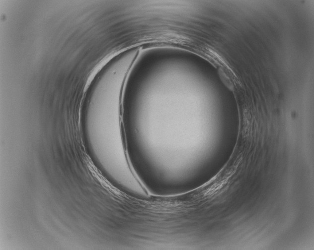 X0000057080788200509091247