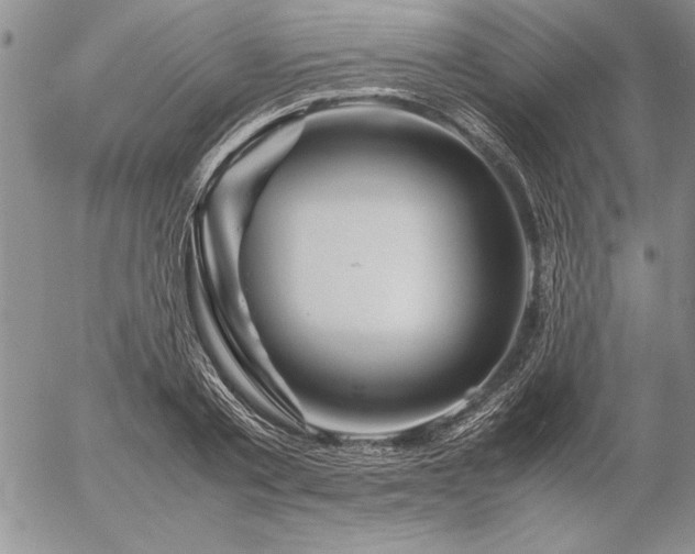 X0000057080789200509091246