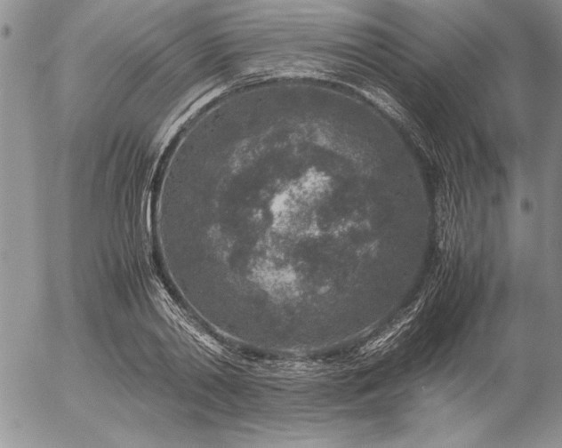 X0000057080790200509091246