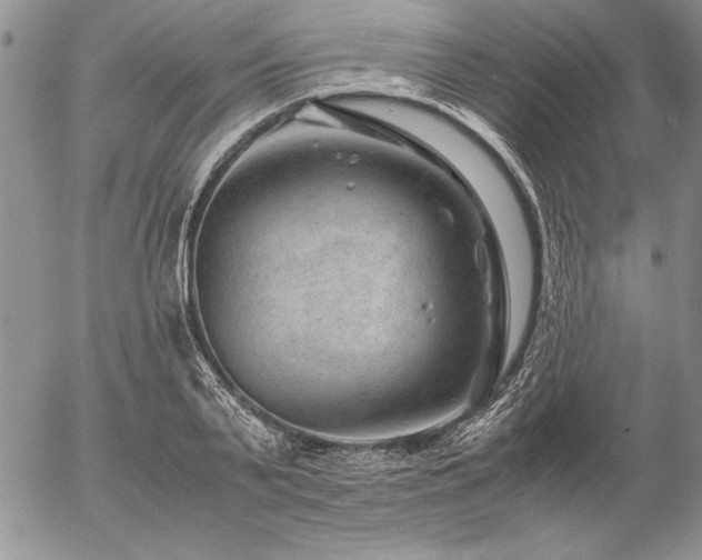 X0000057080791200509091246