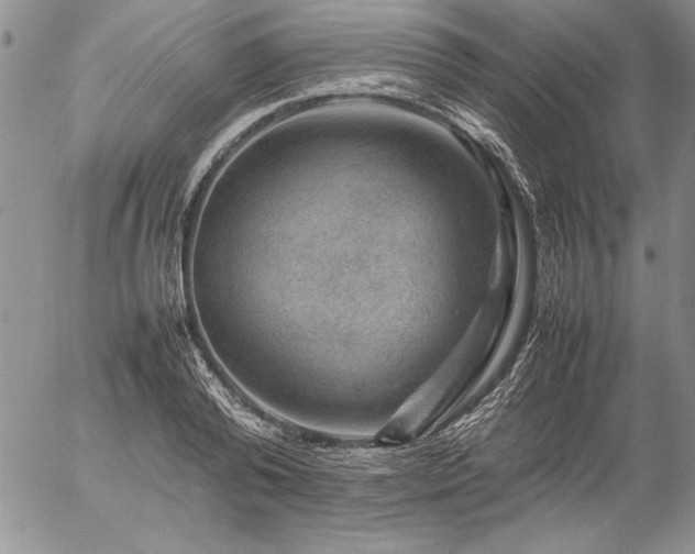 X0000057080792200509091246