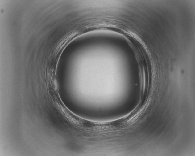 X0000057080793200509091246