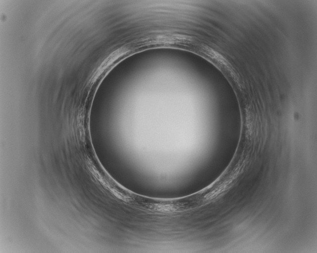 X0000057080794200509091246