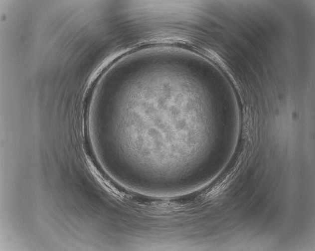 X0000057080795200509091246