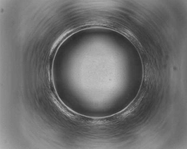 X0000057080796200509091246