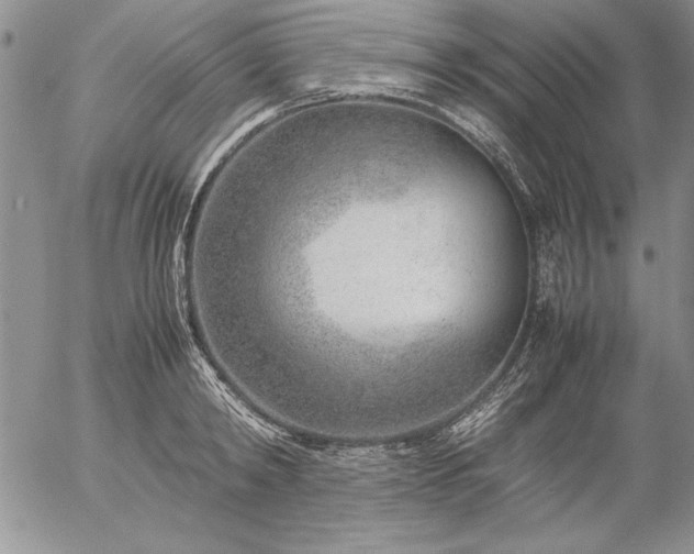 X0000057080798200509091246