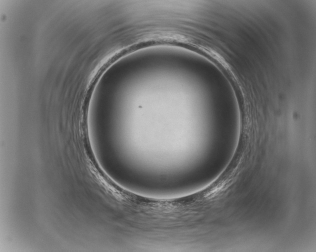 X0000057080799200509091246