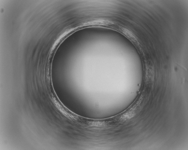 X0000057080800200509091246