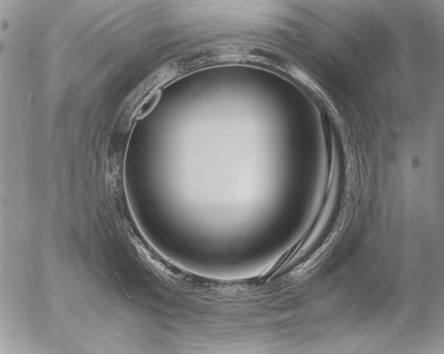 X0000057080801200509091246