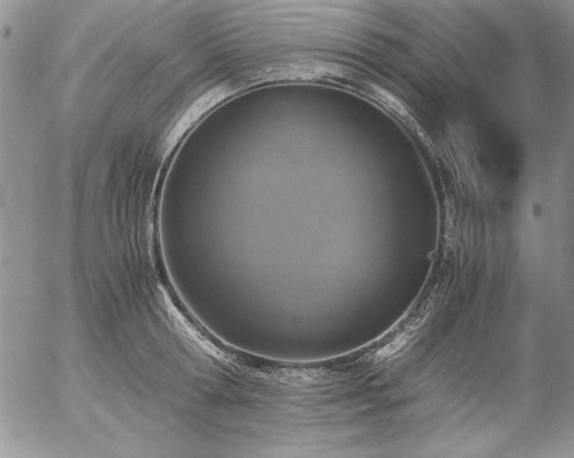 X0000057080802200509091246