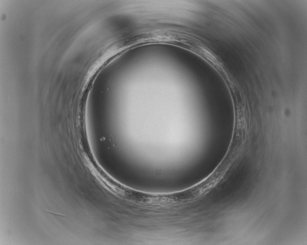 X0000057080803200509091246