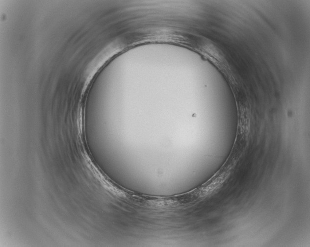 X0000057080804200509091246