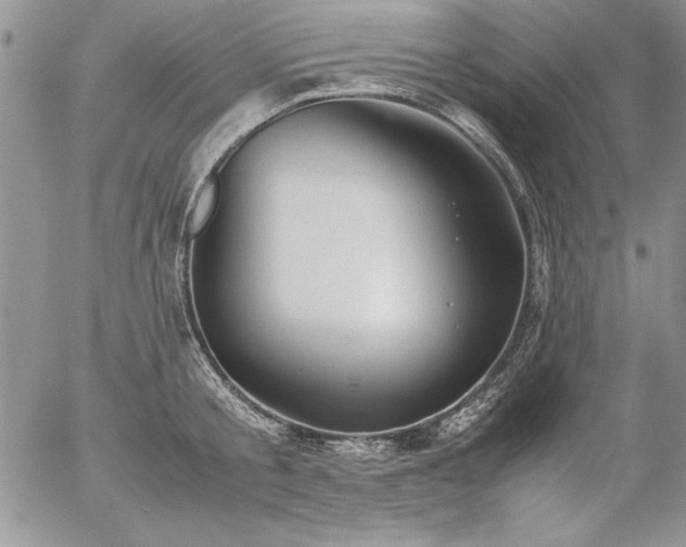 X0000057080805200509091246