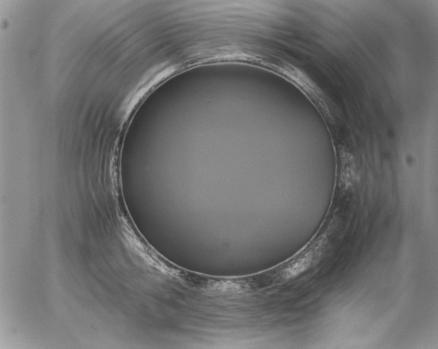 X0000057080806200509091246