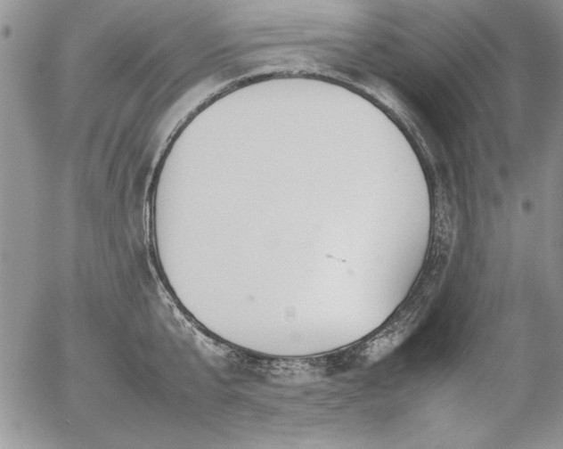 X0000057080807200509091246