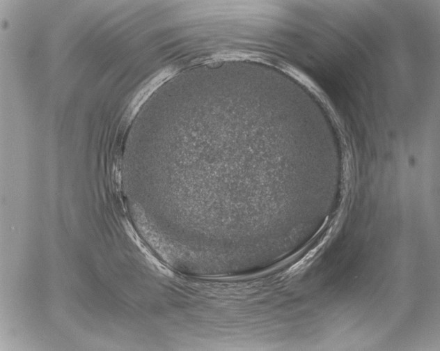 X0000057080809200509091246