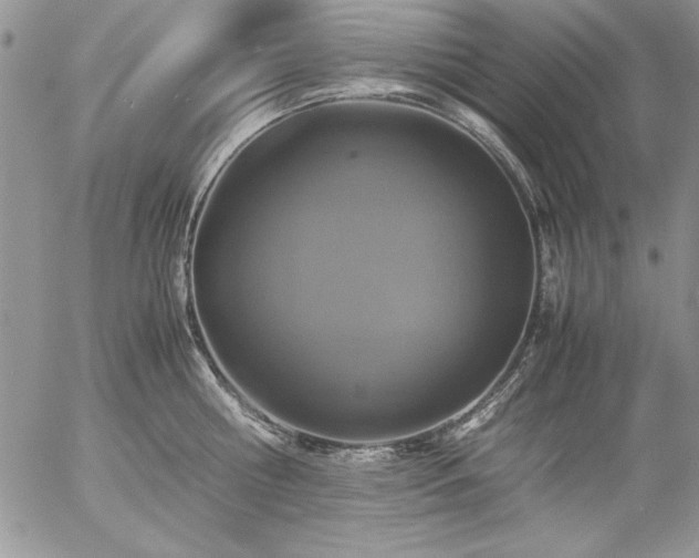 X0000057080810200509091246