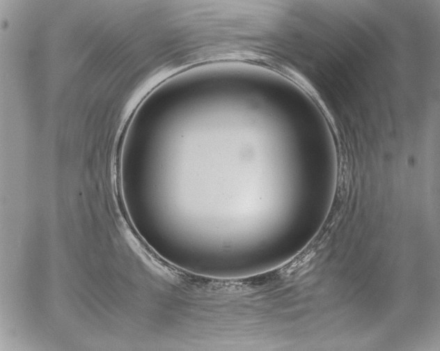 X0000057080811200509091246