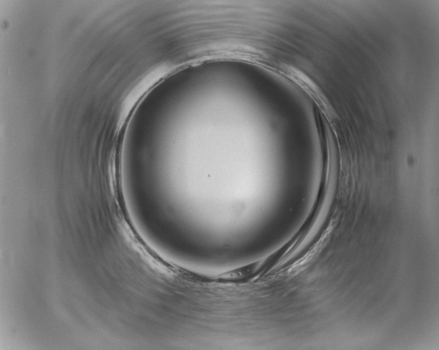 X0000057080812200509091246