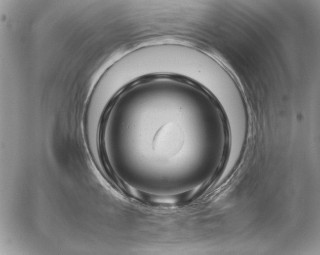 X0000057080813200509091246