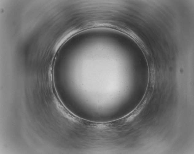 X0000057080814200509091246