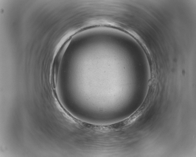 X0000057080815200509091246