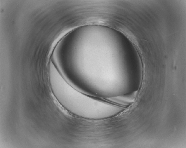 X0000057080816200509091246