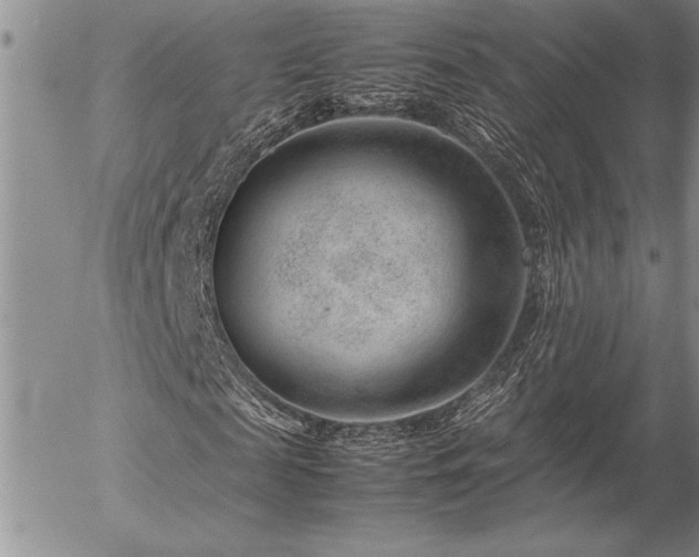 X0000057080817200509091245