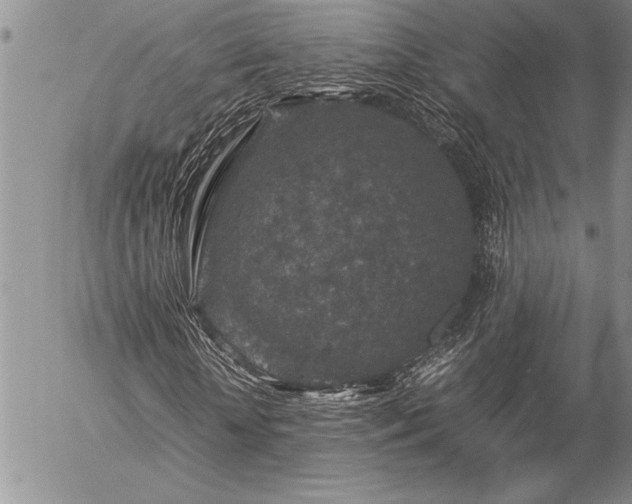 X0000057080818200509091245