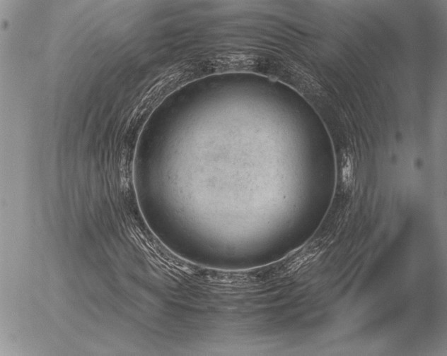 X0000057080819200509091245