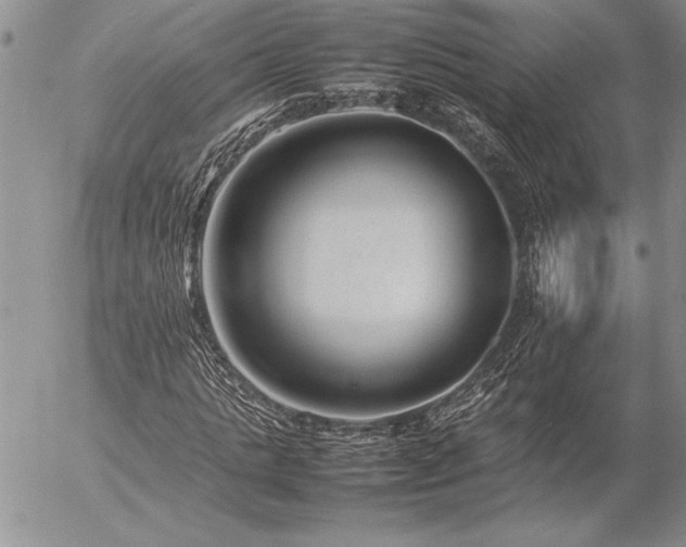 X0000057080821200509091245