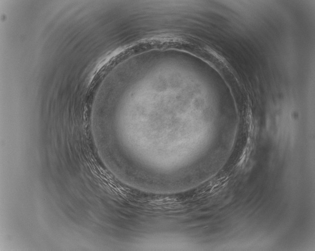 X0000057080823200509091245