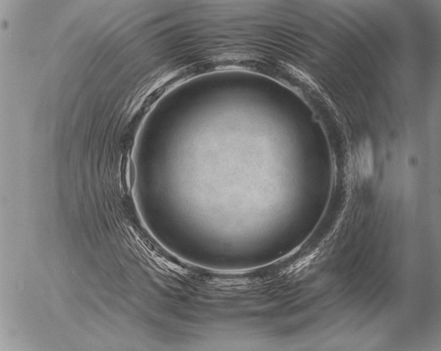 X0000057080825200509091245