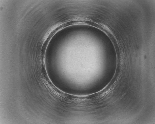 X0000057080831200509091246