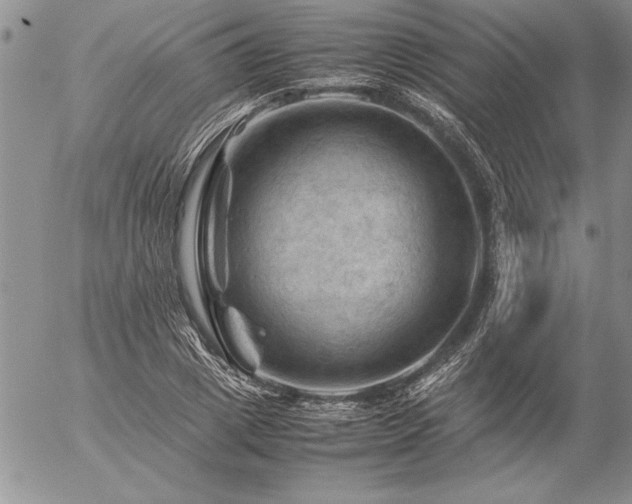 X0000057080833200509091246