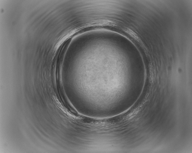 X0000057080834200509091246