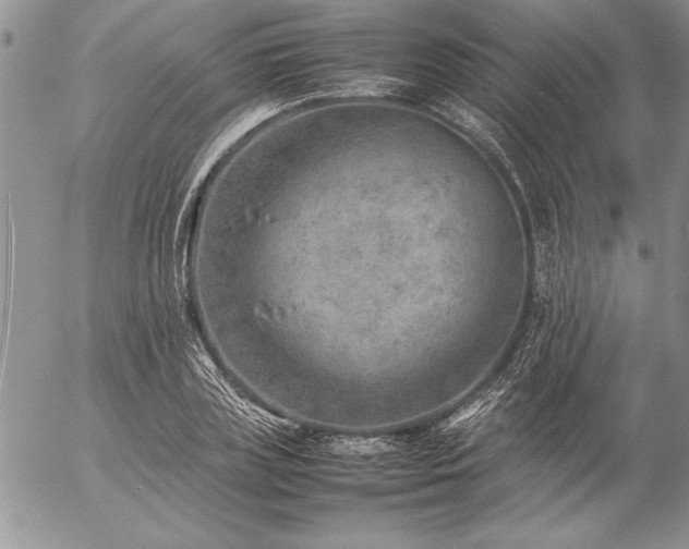 X0000057080835200509091246