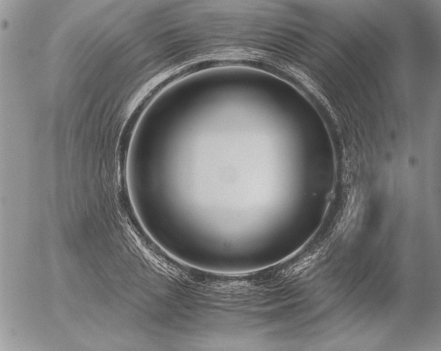 X0000057080837200509091246