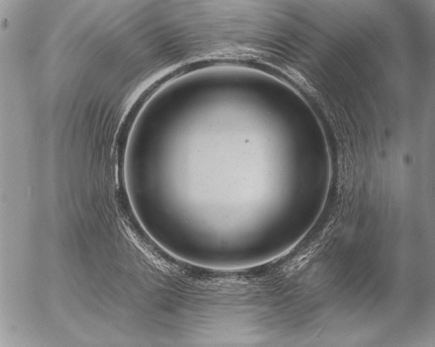 X0000057080838200509091246