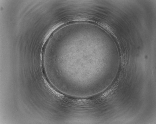 X0000057080839200509091246