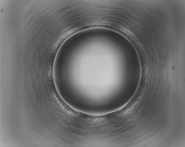 X0000057080841200509091246