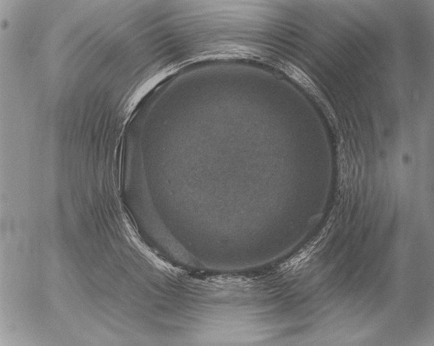 X0000057080842200509091246