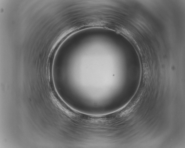 X0000057080843200509091246