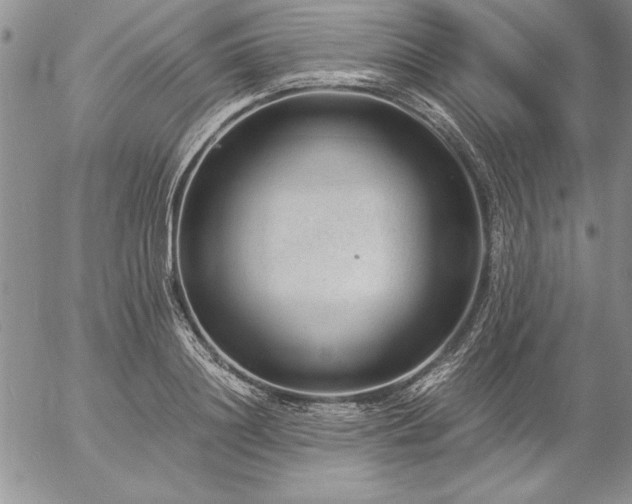 X0000057080844200509091246