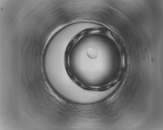 X0000057080846200509091246