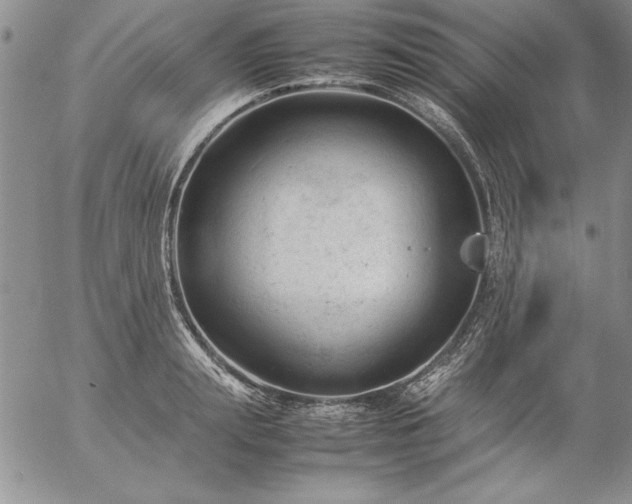 X0000057080847200509091246