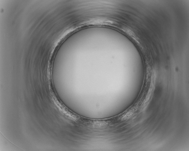 X0000057080848200509091246