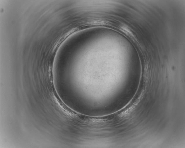 X0000057080849200509091246